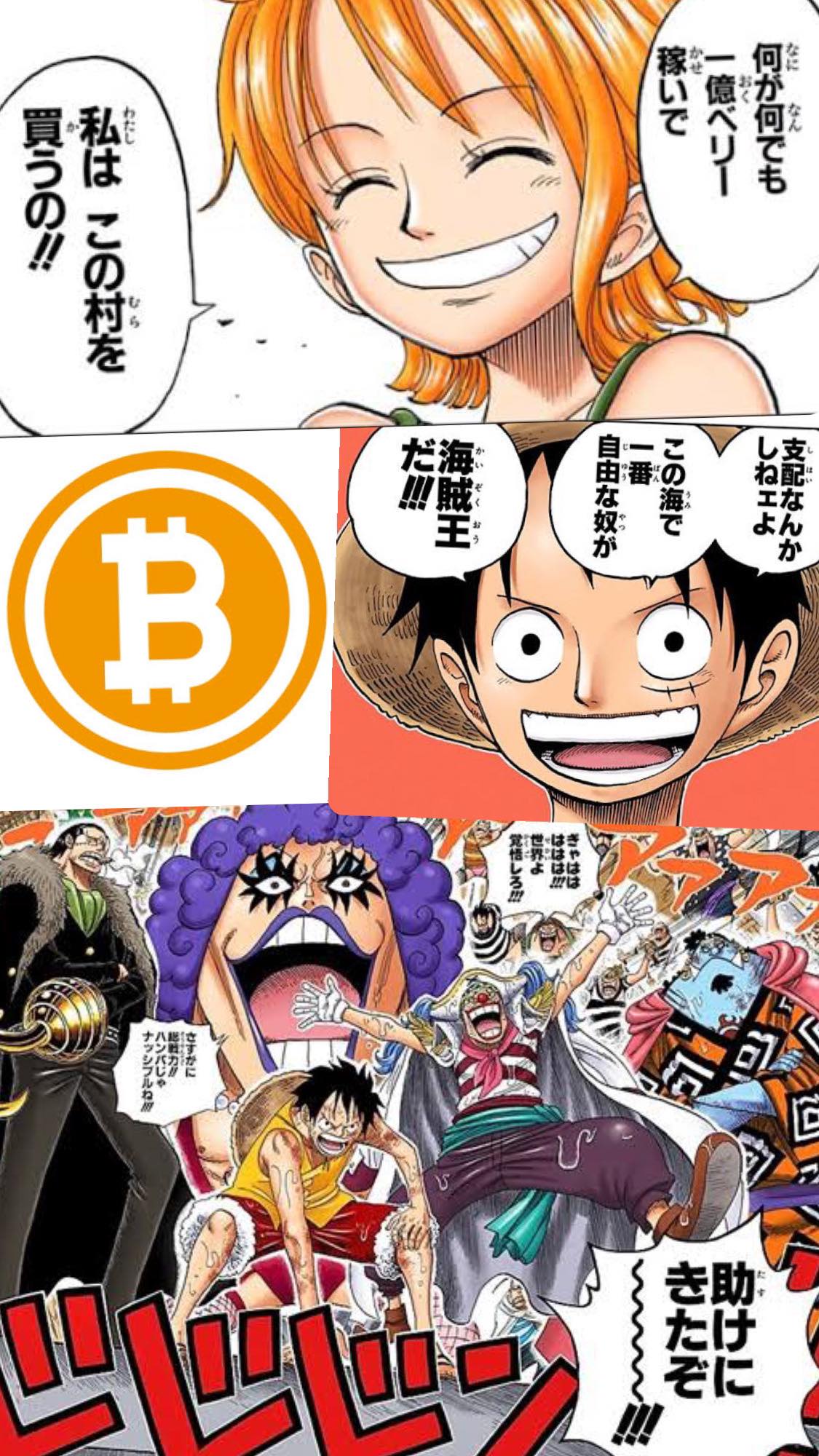 ビットコインはワンピースである｜レオブロ｜ライフアップデートブログ